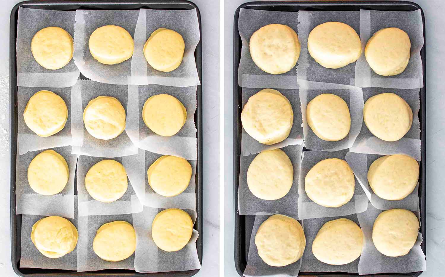 process shots showing how to make italian bomboloni.