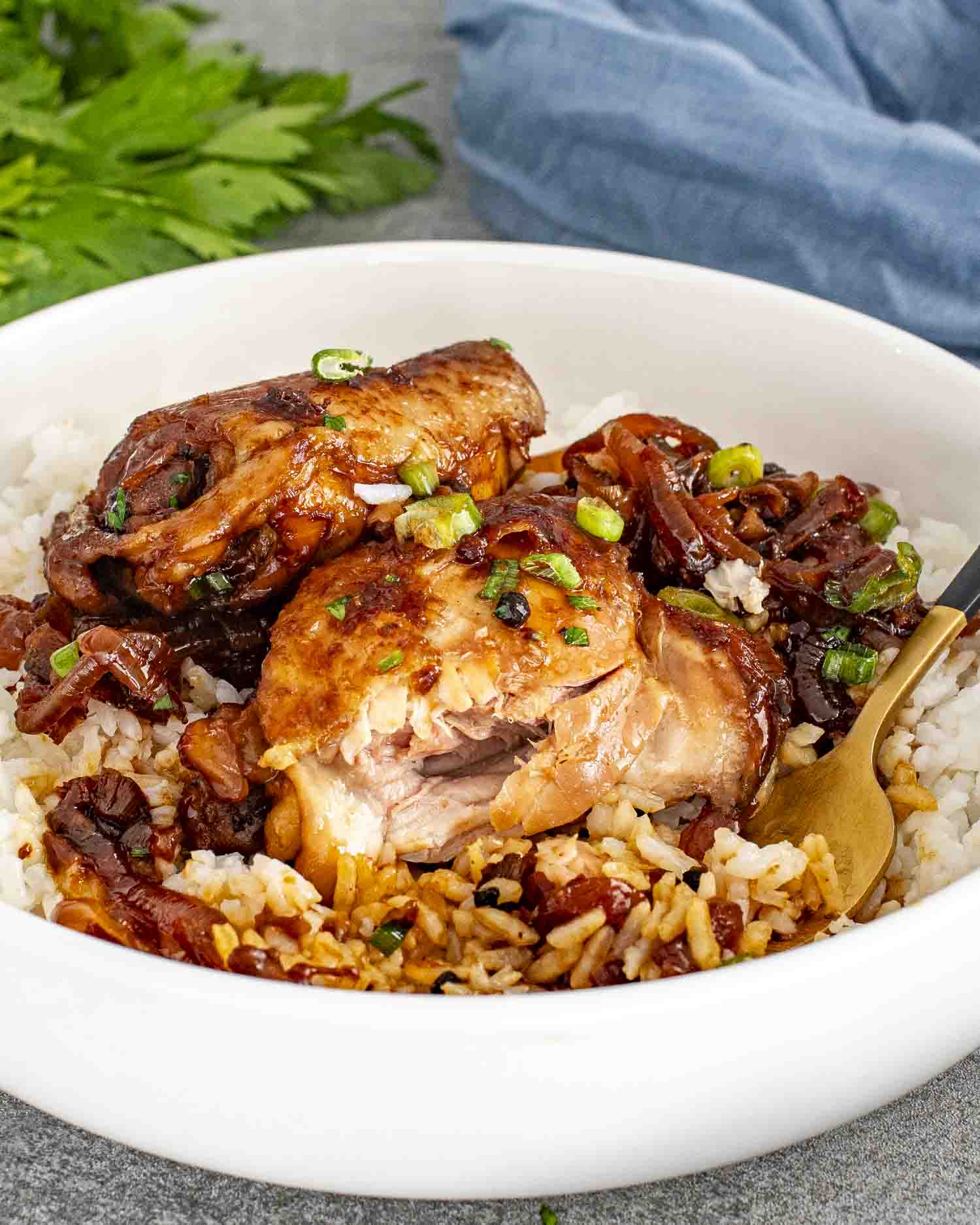 a serving of chicken adobo with rice in a white bowl.