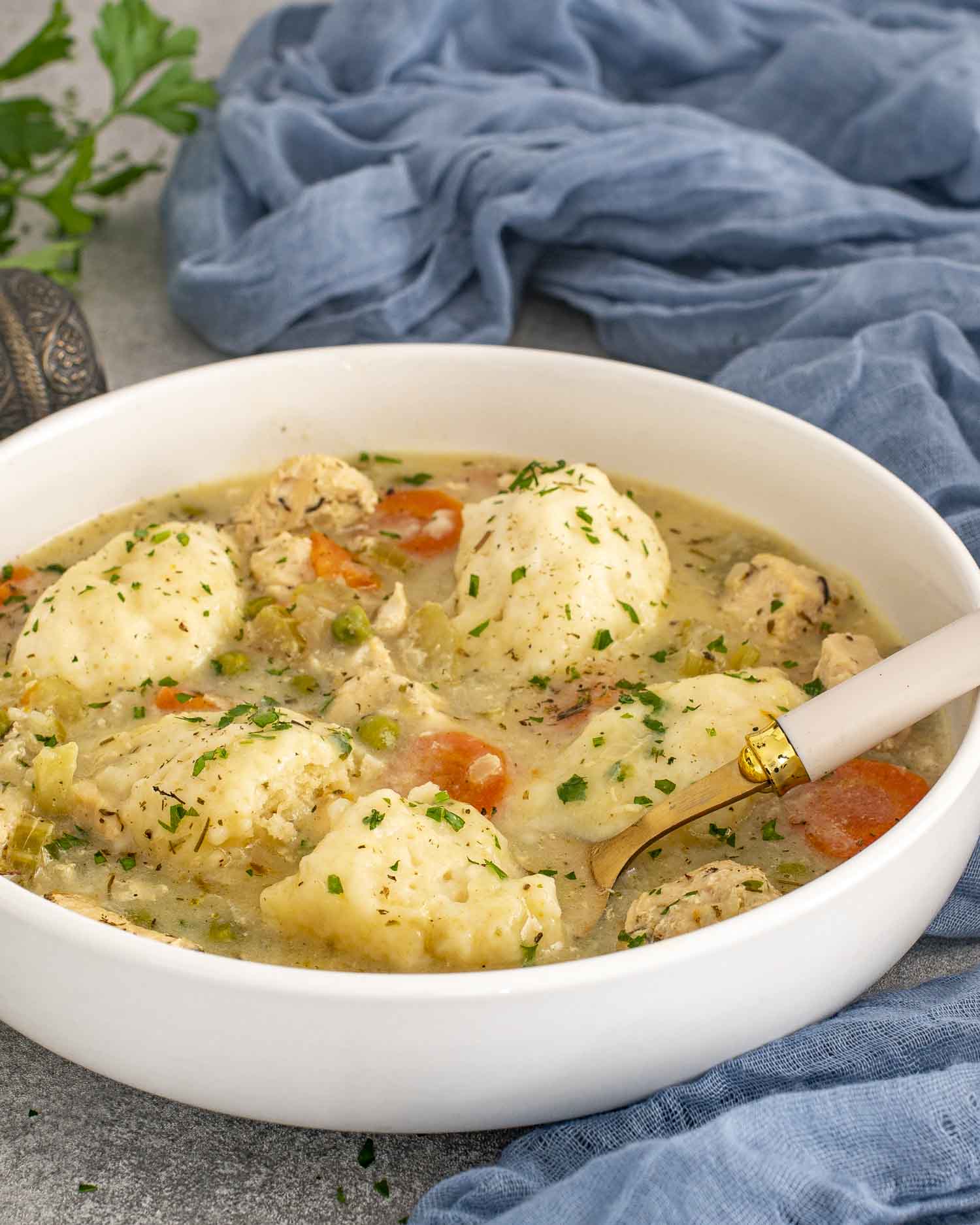Bowl of chicken and dumplings with tender chicken, vegetables, and fluffy dumplings in a creamy broth, garnished with parsley.