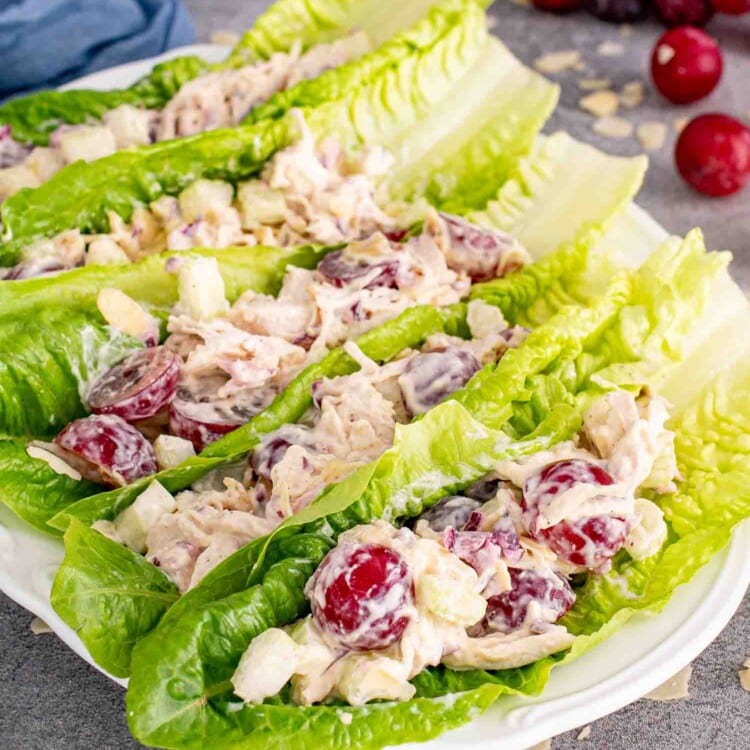 chicken salad lettuce wraps on a white serving platter.