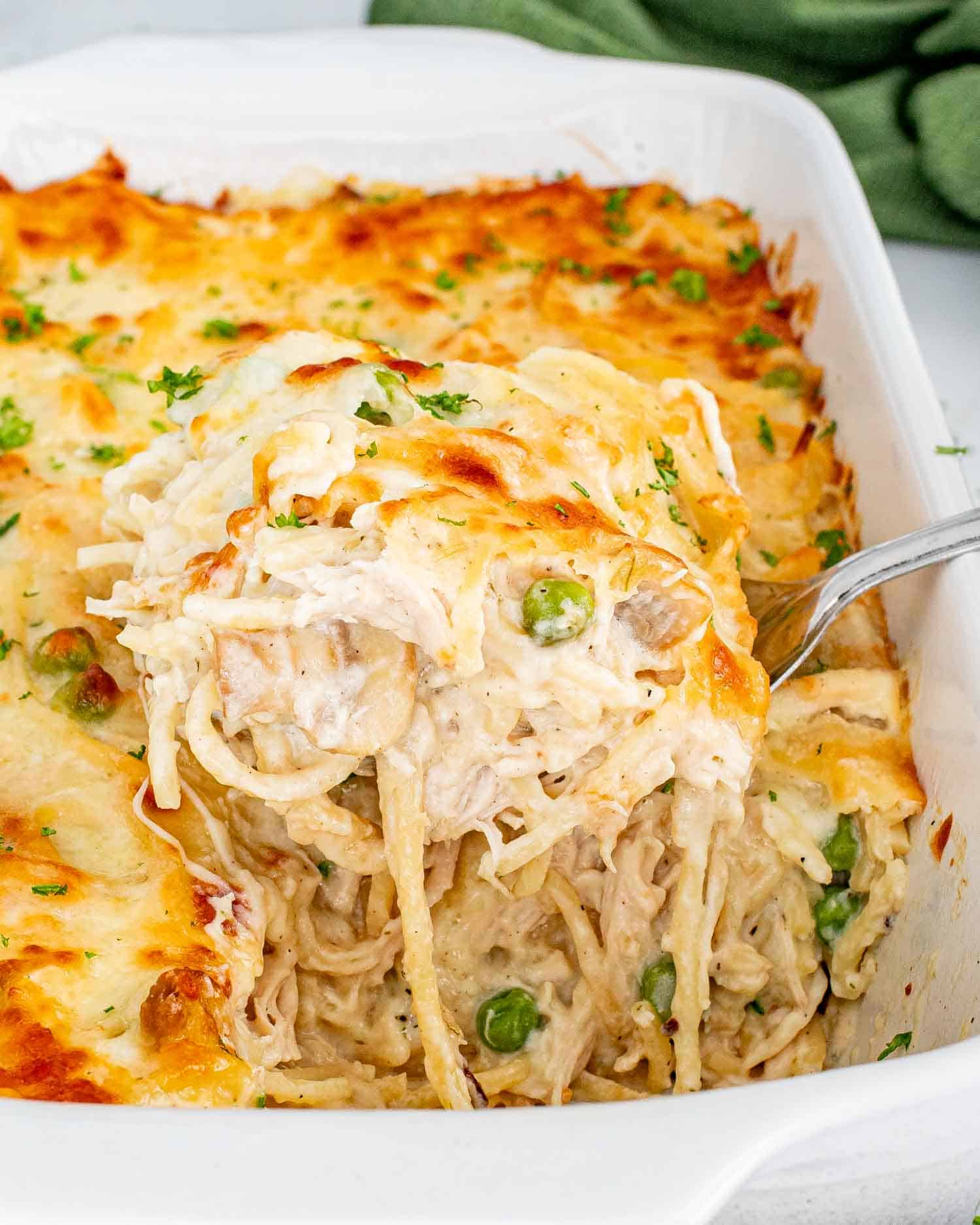 fresh out of the oven chicken tetrazzini in a white casserole dish.