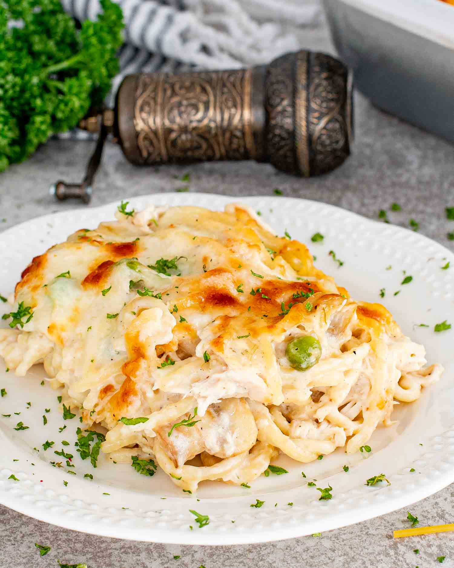 a serving of chicken tetrazzini on a white plate garnished with parsley.
