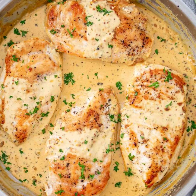 freshly made creamy mustard chicken in a skillet garnished with parsley.