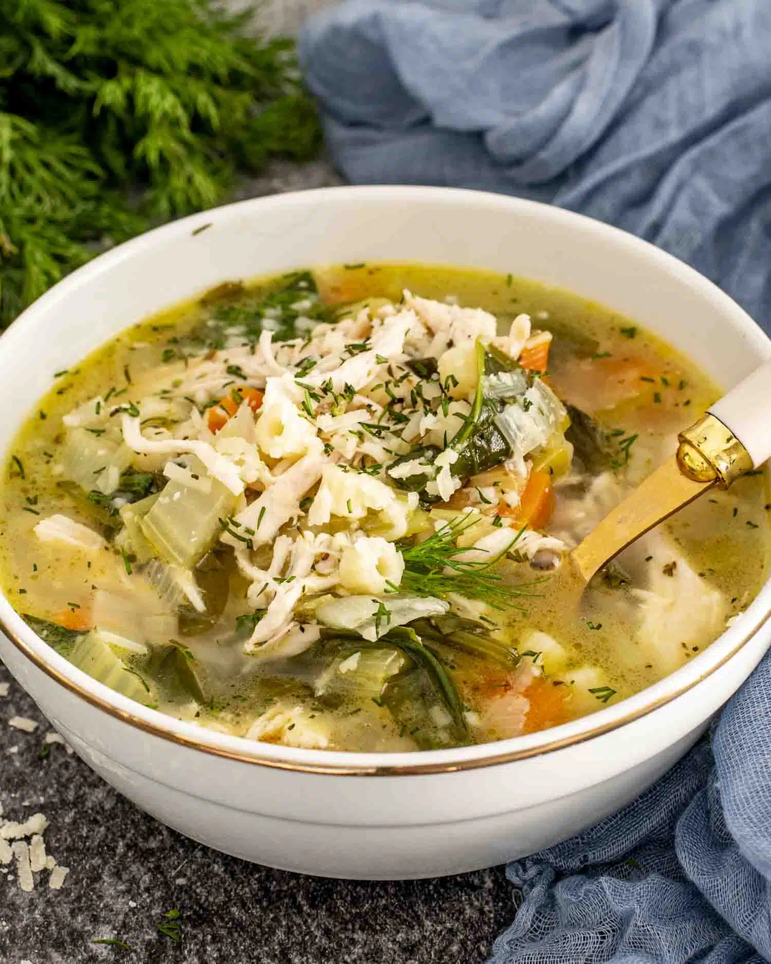 a serving of chicken and leek soup in a bowl garnished with a bit of Parmesan cheese.