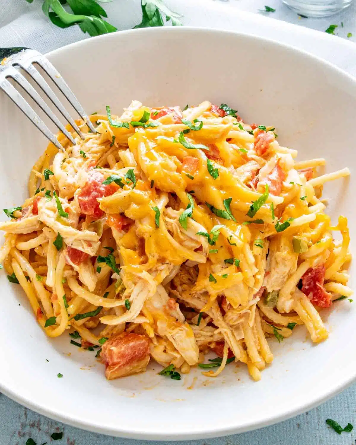 freshly made chicken spaghetti in a white bowl.