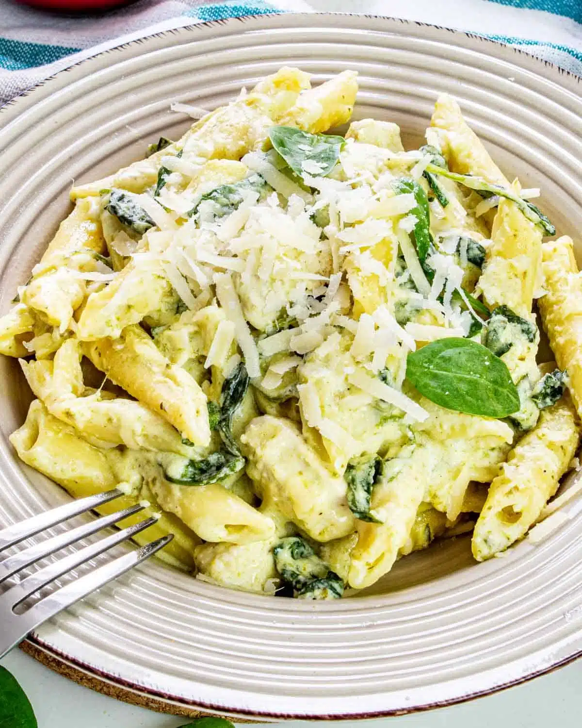 a serving for creamy chicken pasta in a plate garnished with parmesan cheese.