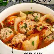 pin for deconstructed wonton soup.